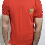 تیشرت مردانه پنبه سوپر